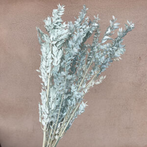 Ruscus rac. Pale Dusky Blue, Preserved, 70cm