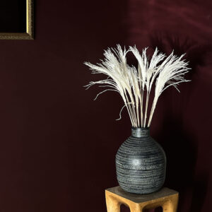 Miscanthus Silver Grass, Creamy White, Dried