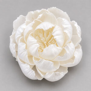 Sola Wood Flowers, Peony, White, 10cm