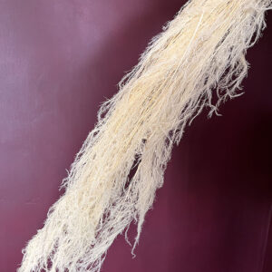 Cascading Grass, Bleached Creamy White, Preserved, up to 110cm