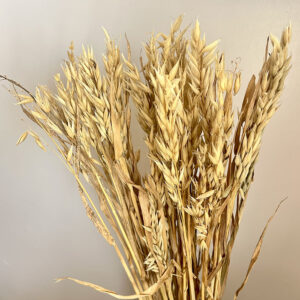 Oats Dried Bunch, Natural Light Brown (Avena) 65cm