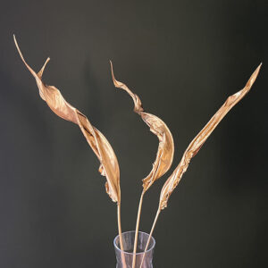 Bird of Paradise Leaf, Metallic Gold, Dried (Strelitzia regina)