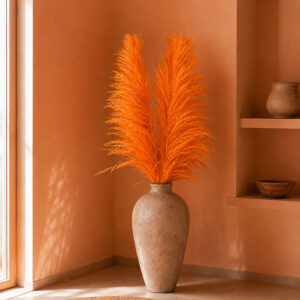 Pampas Grass Sacuara, Peachy Orange, Dried, 145cm Plume 110cm