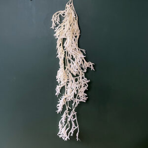 Club Moss, Creamy White, Preserved (Earth Matters) 90cm