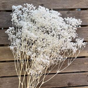 Preserved White Baby's Breath Bunch
