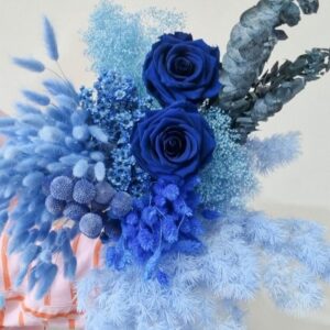 Blue ~ Aqua ~ Turquoise