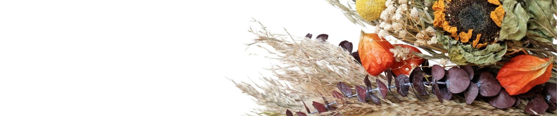 dried flowers wholesaler