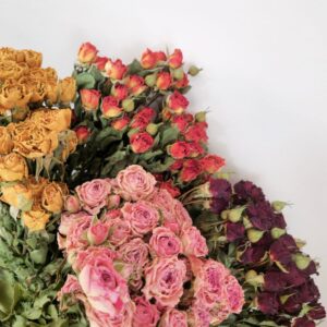 Spray Roses