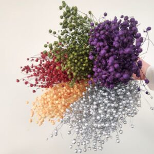 Bubble Flax (Linum)