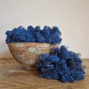 Icelandic Moss, Dark Blue, Preserved (Reindeer Moss) approx 500g