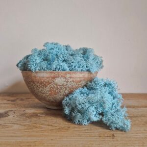 Icelandic Moss, Aqua Blue, Preserved (Reindeer Moss) approx 100g