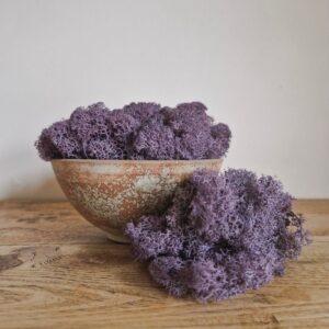 Icelandic Moss, Aubergine Purple, Preserved (Reindeer Moss) approx 100g