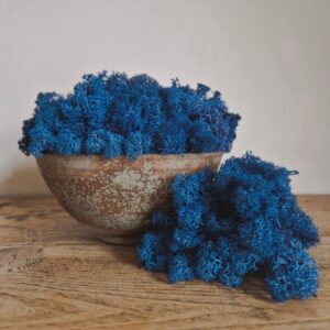 Icelandic Moss, Blue, Preserved (Reindeer Moss) approx 100g