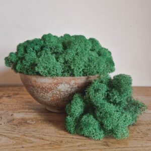 Icelandic Moss, Grass Green, Preserved (Reindeer Moss) approx 500g