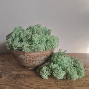 Icelandic Moss, Mint Green, Preserved (Reindeer Moss) approx 100g