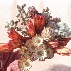 South African Botanicals
