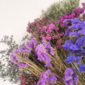 Limonium ~ Statice