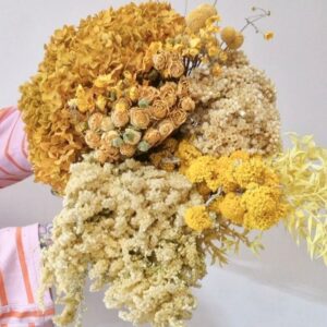 Yellow ~ Ochre ~ Gold