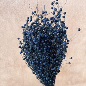 Bubble Flax, Dark Blue, Dried (Linum) 50cm