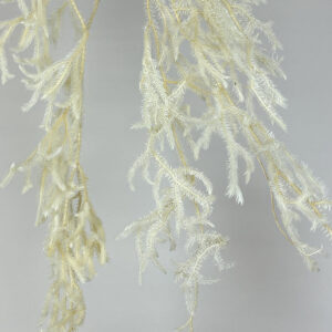 Cascading Club Moss, Creamy White, Preserved (Earth Matters) 80-90cm