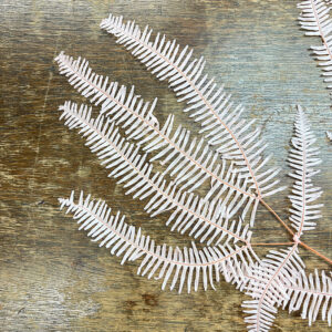 Coral Ferns, Light Pink, Preserved, 55cm