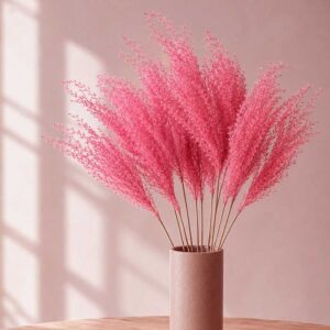 Miscanthus sinensis, Pink, Dried 70cm