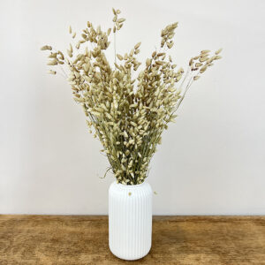 Briza Maxima, Natural Pale Silver Green, Dried (Quaking Grass) 60cm