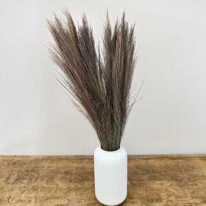 Broom Grass, Natural Shades, Dried, 65cm