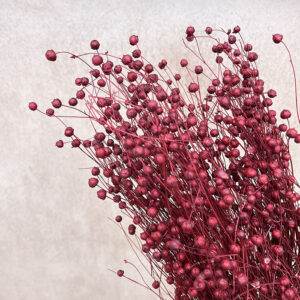 Bubble Flax, Dark Red, Dried (Linum) 50cm