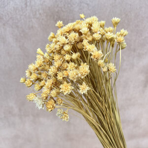 Hill Flower, Pale Yellow, Dried, 100g 50cm