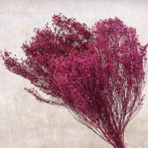 Broom Bloom, Deep Magenta Red, Dried, 60cm