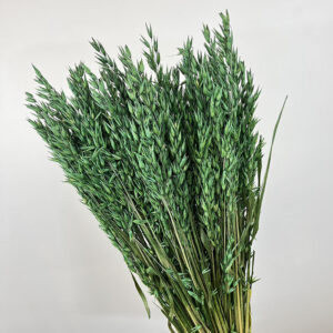 Oats Dried Bunch, Dark Green (Avena) 70cm