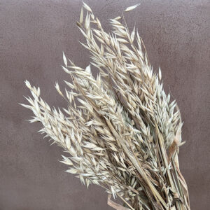 Oats Dried Bunch, Natural Light Brown (Avena) 65cm