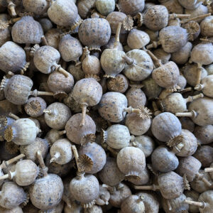 Poppy Seed Pods, Natural, Dried (Papaver) 1KG ~ BOX DEAL
