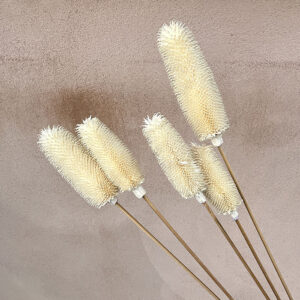 Teasels, White, 70cm