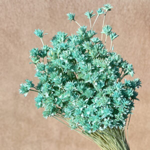 Hill Flower, Aqua Blue, Dried, 100g 50cm