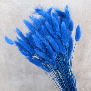 Lagurus Grass, Blue, Dried (Bunny Tails) 50-70cm 100g