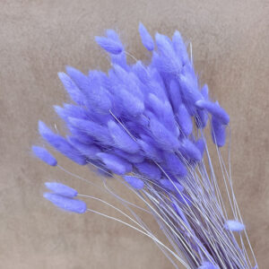 Lagurus Grass, Lilac, Dried (Bunny Tails) 50-70cm 100g