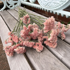 Seasonal Flowers ~ Offers