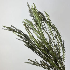 Grevillea Ivanhoe, Green, Preserved, 40-55cm Earth Matters®