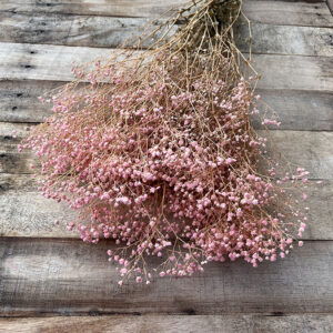 Gypsophila Cosmic, Pale Pink, Preserved (Baby’s Breath) up to 70cm