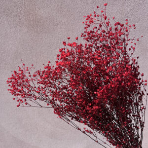 Gypsophila Cosmic, Red, Preserved (Baby’s Breath) up to 70cm