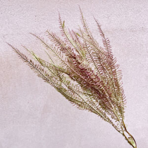 Herringbone Ferns, Natural Ombré Red, Preserved, 50cm, Earth Matters®