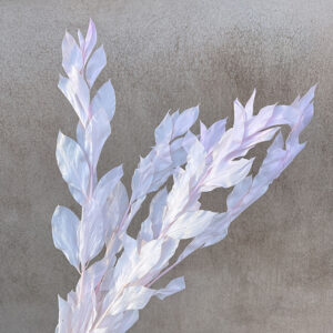 Hard Ruscus, Pinky Lilac, Preserved, up to 65cm