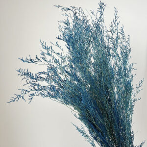 Limonium Caspia, Deep Blue, Preserved (Sea Lavender) up to 65cm