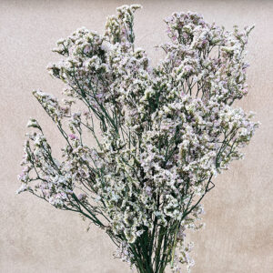 Limonium Diamond, Blush Pink, Preserved (Sea Lavender) up to 70cm