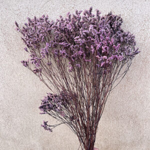 Limonium Diamond, Deep Dusky Pink, Preserved (Sea Lavender) up to 70cm