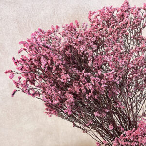 Limonium Diamond, Deep Pink, Preserved (Sea Lavender) up to 70cm