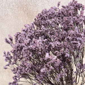 Limonium Diamond, Dusky Mauve Pink, Preserved (Sea Lavender) up to 70cm