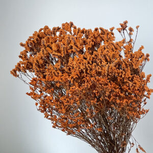 Limonium Diamond, Dark Orange, Preserved (Sea Lavender) up to 70cm